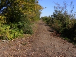 Ripped out tracks